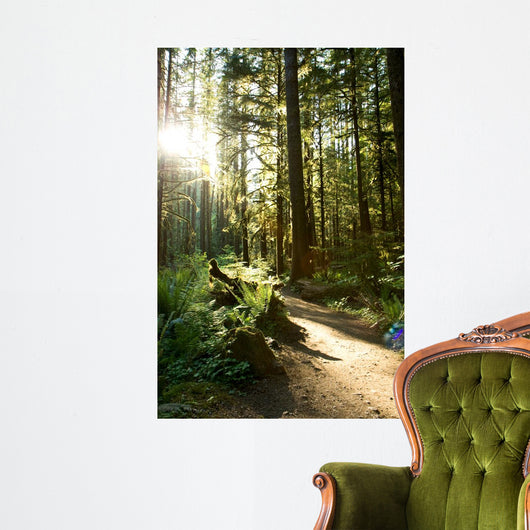 Merymere Falls Trail Sunlight Wall Decal