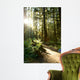 Merymere Falls Trail Sunlight Wall Decal
