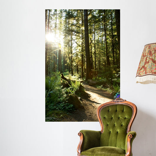 Merymere Falls Trail Sunlight Wall Decal