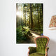Merymere Falls Trail Sunlight Wall Decal