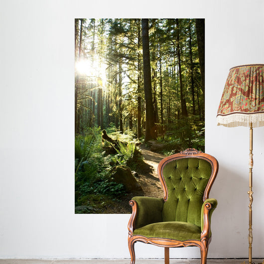 Merymere Falls Trail Sunlight Wall Decal