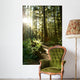 Merymere Falls Trail Sunlight Wall Decal