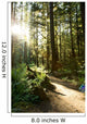 Merymere Falls Trail Sunlight Wall Decal
