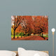 Autumn Color Trout Lake Wall Decal