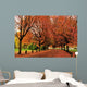 Autumn Color Trout Lake Wall Decal