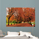 Autumn Color Trout Lake Wall Decal