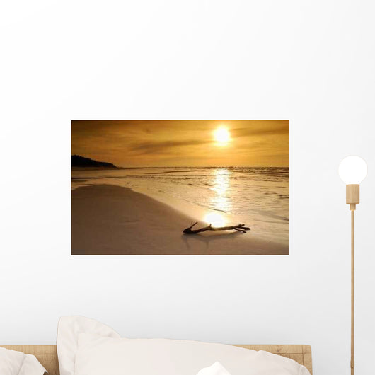 Lonely Branch Droped out Wall Decal