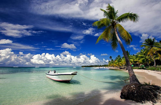 Tropical Beach Dominican Republic Wall Decal