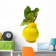 Quince Yellow with Leaves Wall Decal