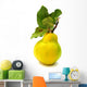 Quince Yellow with Leaves Wall Decal