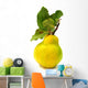 Quince Yellow with Leaves Wall Decal