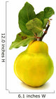Quince Yellow with Leaves Wall Decal