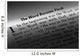 John 1 1 Word Wall Decal
