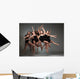 Modern Ballet Dancers Wall Decal