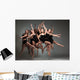 Modern Ballet Dancers Wall Decal