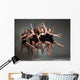 Modern Ballet Dancers Wall Decal