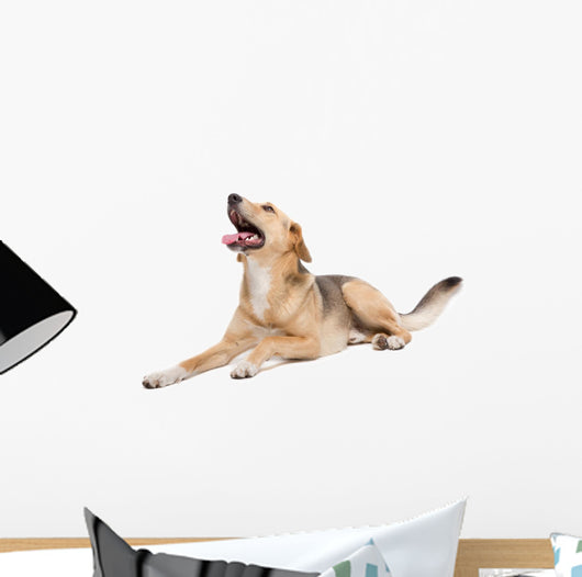 Mixed Dog Wall Decal