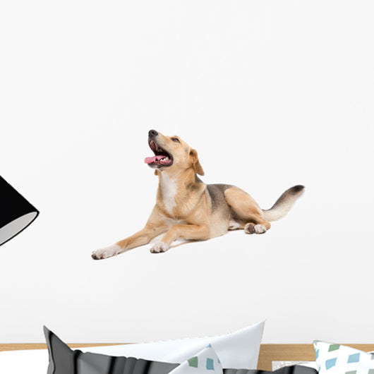 Mixed Dog Wall Decal