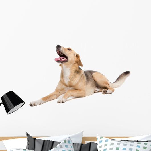 Mixed Dog Wall Decal