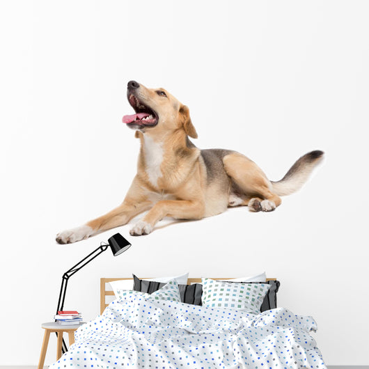 Mixed Dog Wall Decal