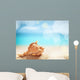 Seashell Summer Wall Decal