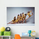 Modern Ballet Dancers Preforming Wall Decal