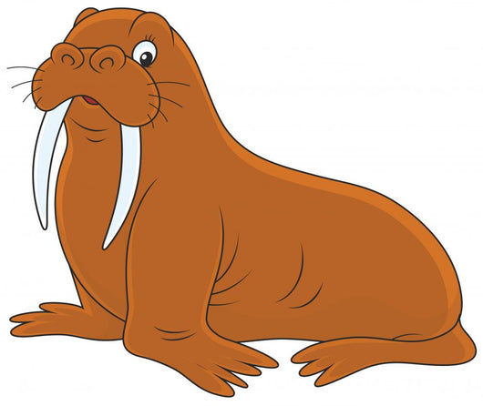 Walrus Wall Decal
