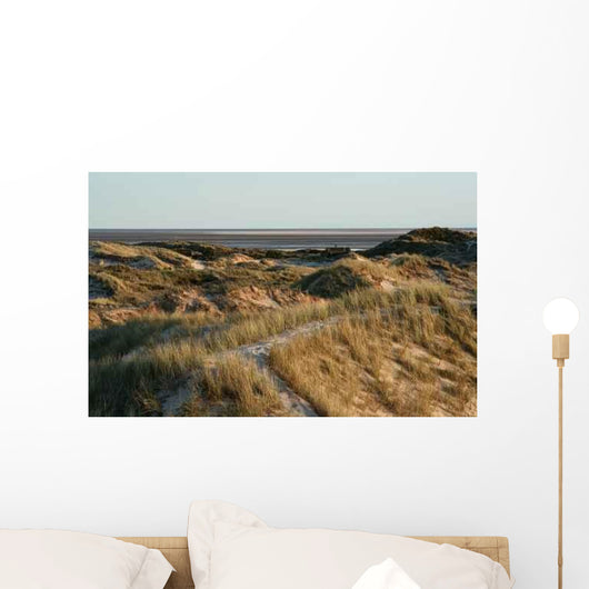 Dunes Wall Decal Design 2