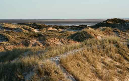 Dunes Wall Decal Design 2