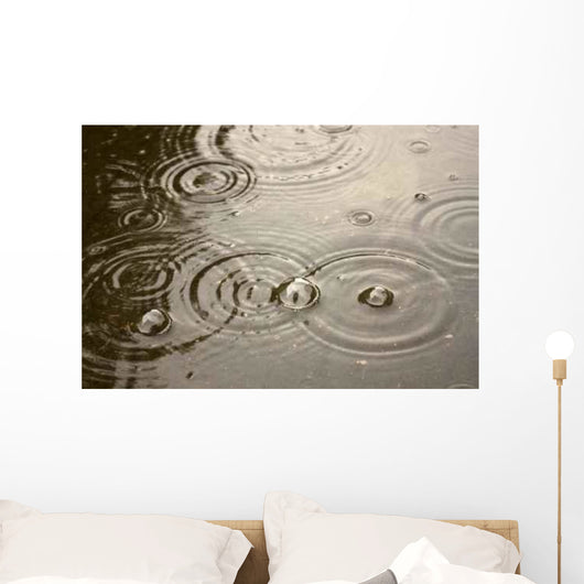 Rain Bubbles Puddle Surface Wall Decal