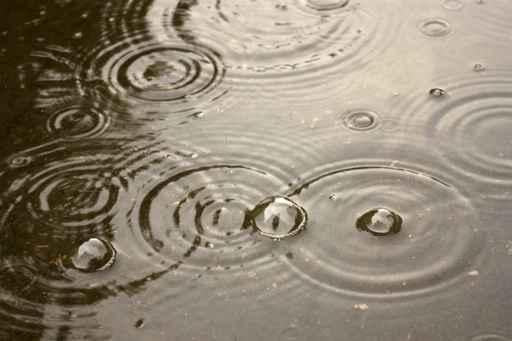 Rain Bubbles Puddle Surface Wall Decal