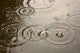 Rain Bubbles Puddle Surface Wall Decal