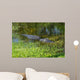 American Alligator Wall Decal