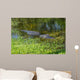 American Alligator Wall Decal