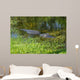 American Alligator Wall Decal