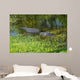 American Alligator Wall Decal