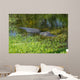 American Alligator Wall Decal
