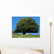 Tree Wall Decal Design 2