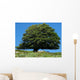 Tree Wall Decal Design 2