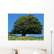 Tree Wall Decal Design 2
