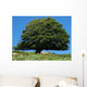 Tree Wall Decal Design 2