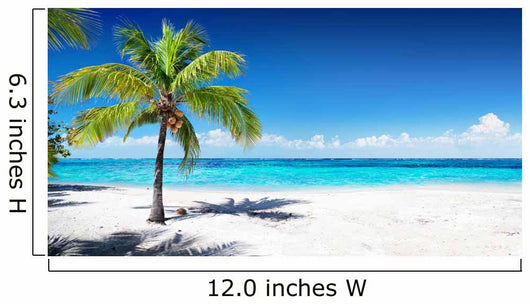 Scenic Palm Coral Beach Wall Decal