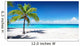 Scenic Palm Coral Beach Wall Decal