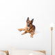 German Shepherd Is Lying Wall Decal