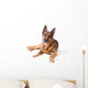 German Shepherd Is Lying Wall Decal
