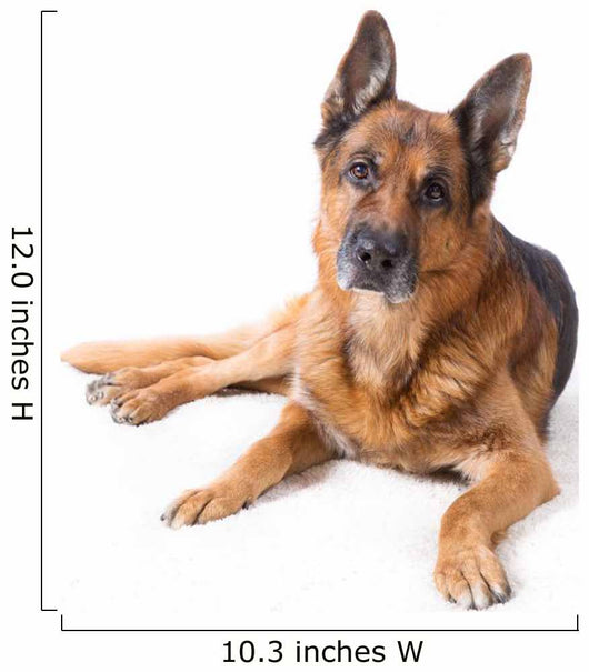 German Shepherd Is Lying Wall Decal
