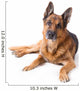 German Shepherd Is Lying Wall Decal