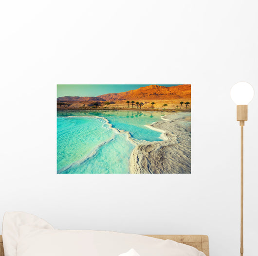 Dead Sea Salt Shore Wall Decal