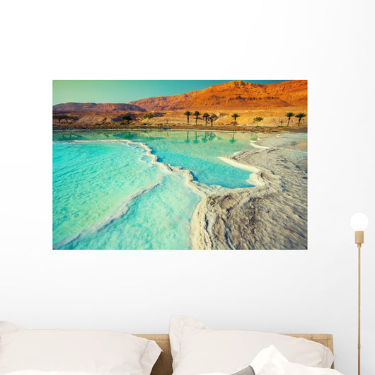 Dead Sea Salt Shore Wall Decal