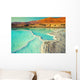 Dead Sea Salt Shore Wall Decal